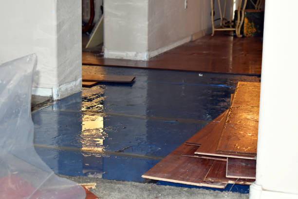 Professional Burst Pipe Cleanup technician working in Merion Station, PA